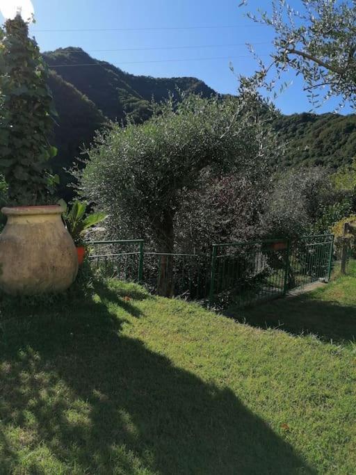 Salto Chiesa Casa Andreina 빌라 외부 사진