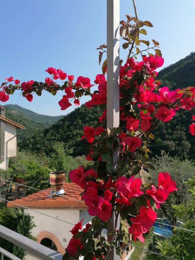 Salto Chiesa Casa Andreina 빌라 외부 사진